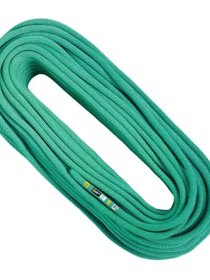 Značkový Singing Rock Score Dry 10.1 mm dynamické lano mint 30m